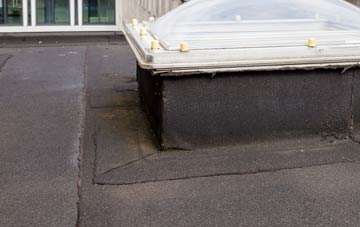 disadvantages of Duloe flat roofs