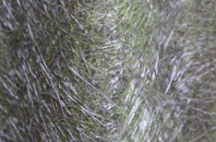 Duloe fibreglass roof work